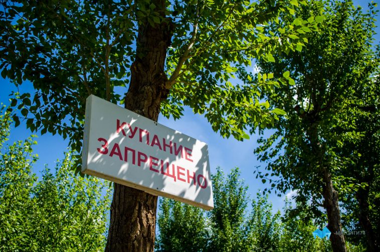В Челябинской области спасатели искали пропавших детей