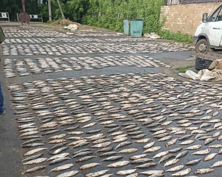 На озере в Челябинской области задержали банду рыбаков-браконьеров