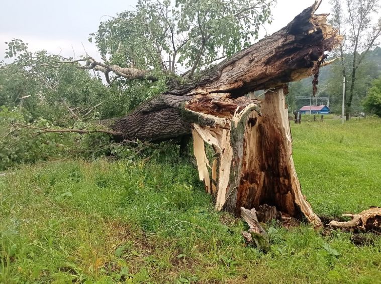 В Челябинской области в одном из городов прошелся ураган и град
