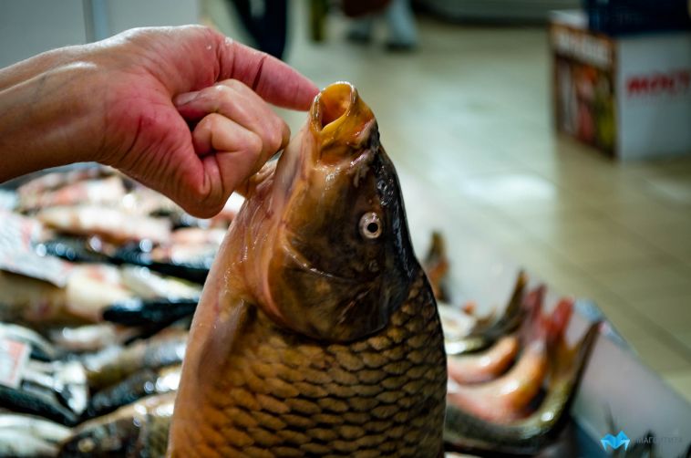 В Челябинской области изъяли 5 партий рыбы и морепродуктов