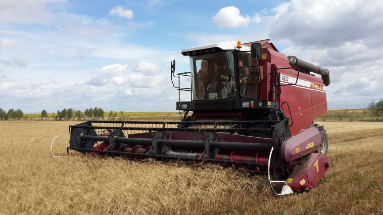 «Год выдался благоприятным для аграриев»: на Урале собрали вдвое больше зерновых культур по сравнению с прошлым годом