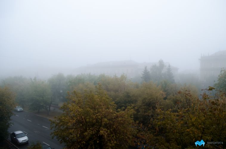 Пасмурно, туман. Прогноз погоды на пятницу