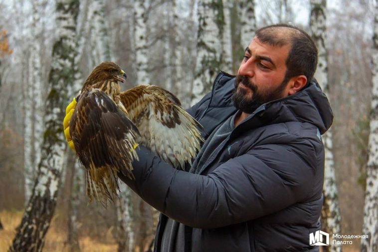 В Челябинской области спасенного ястреба вернули в естественную среду обитания