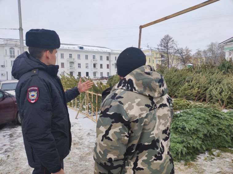 Изъяли уже более 700 деревьев: в Магнитогорске полиция продолжает проверять ёлочные базары