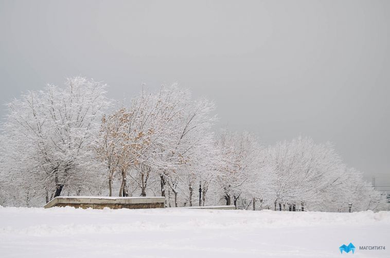 Прогноз погоды