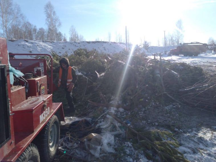 В Челябинской области отметили сокращение натуральных деревьев на свалках