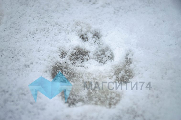 Прогноз погоды на завтра