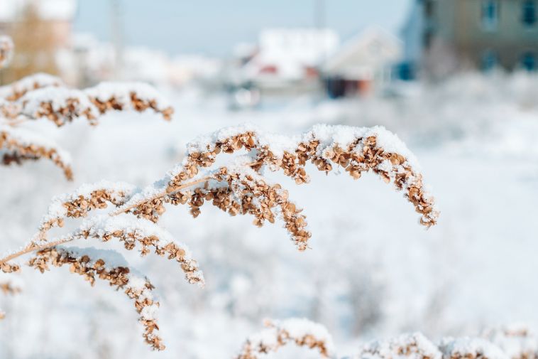 На выходных в Магнитогорске ожидается небольшой снег