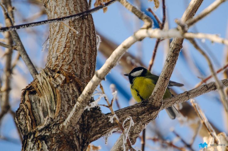 Прогноз погоды на завтра
