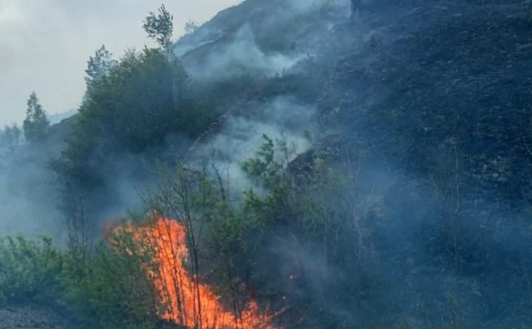 Спасли поселок: южноуральские огнеборцы ликвидировали крупный лесной пожар