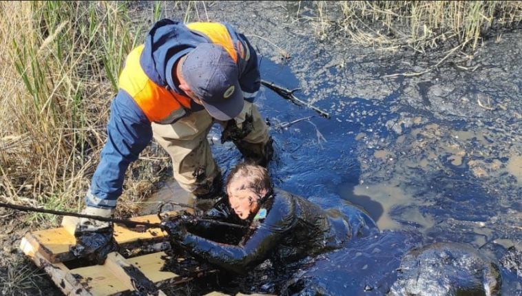 Южноуральские спасатели вытащили женщину, которая увязла в болоте битума