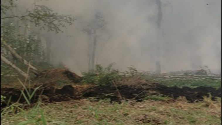 Спасатели все выходные тушили пожар в Аргаяшском районе
