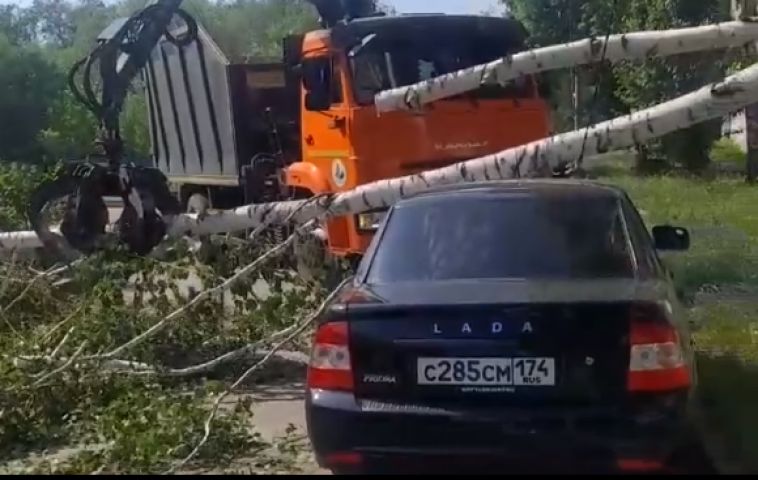 В Магнитогорске на припаркованный автомобиль упало дерево
