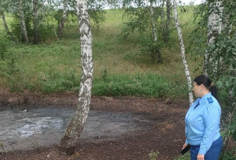 Жители челябинской деревни пожаловались на озеро из нечистот