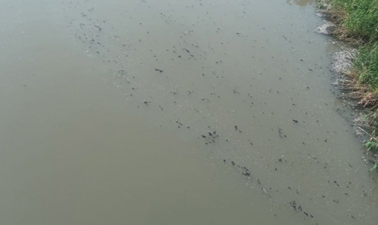 «Сливают непонятную жижу»: челябинцы забили тревогу из-за загрязнения реки Миасс