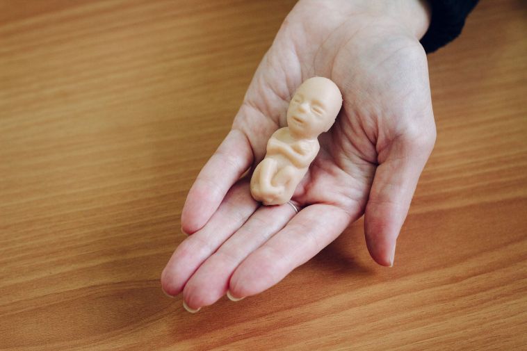 В Челябинской области в прошлом году в частных клиниках сделали около 3 тысяч абортов