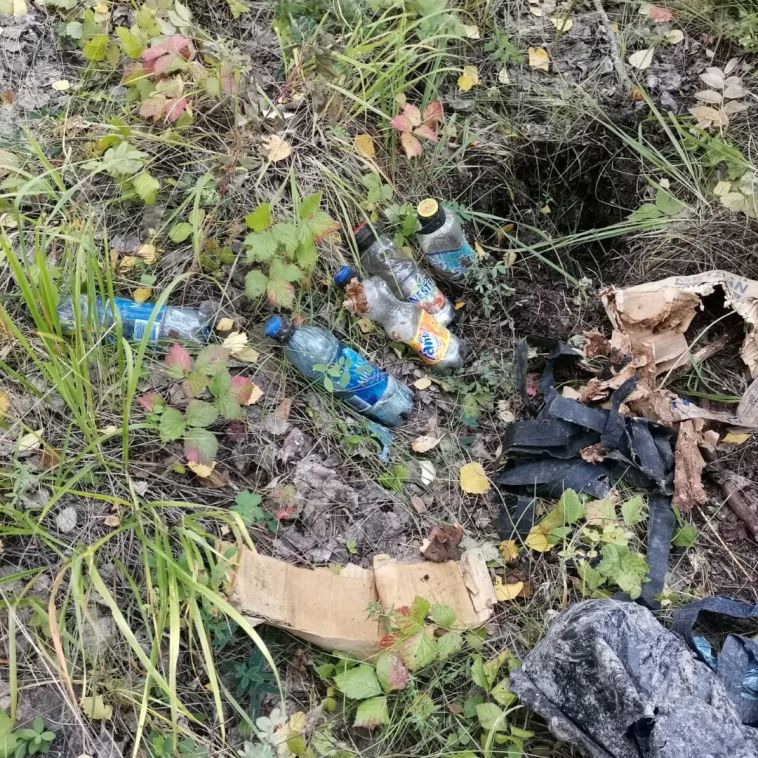Южноуральские грибники нашли в лесу пять бутылок со ртутью