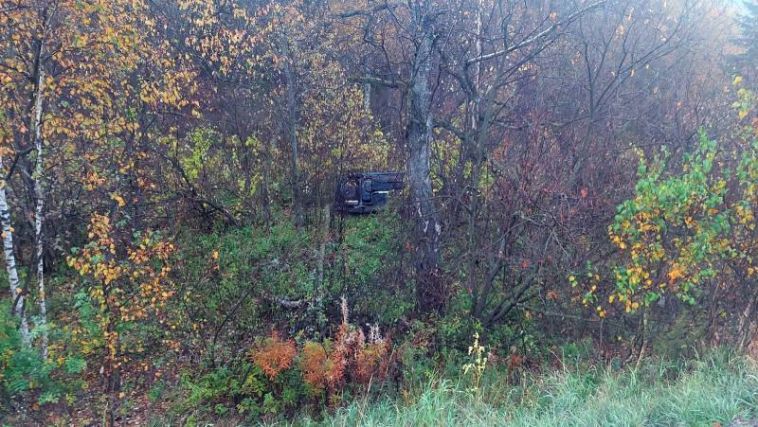В Челябинской области молодой водитель погиб после столкновения с лосем
