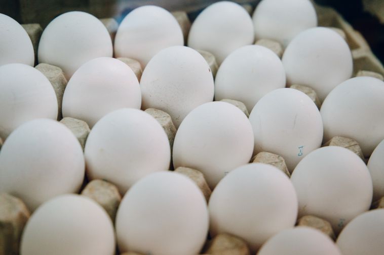 Антимонопольщики ожидают снижения цен на куриные яйца
