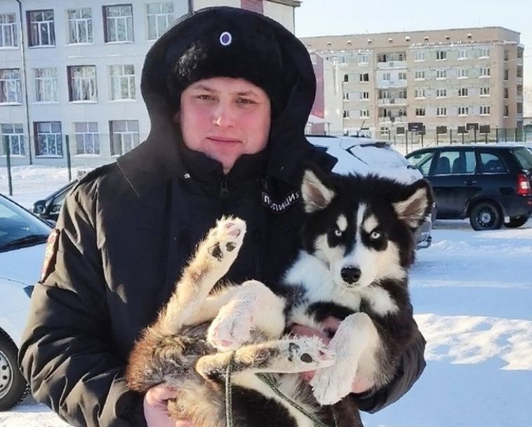 В Челябинской области полицейский спас щенка, которого заперли на балконе