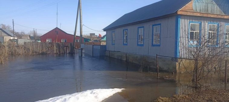 В Челябинской области подтопило участки частных домов из-за весеннего паводка