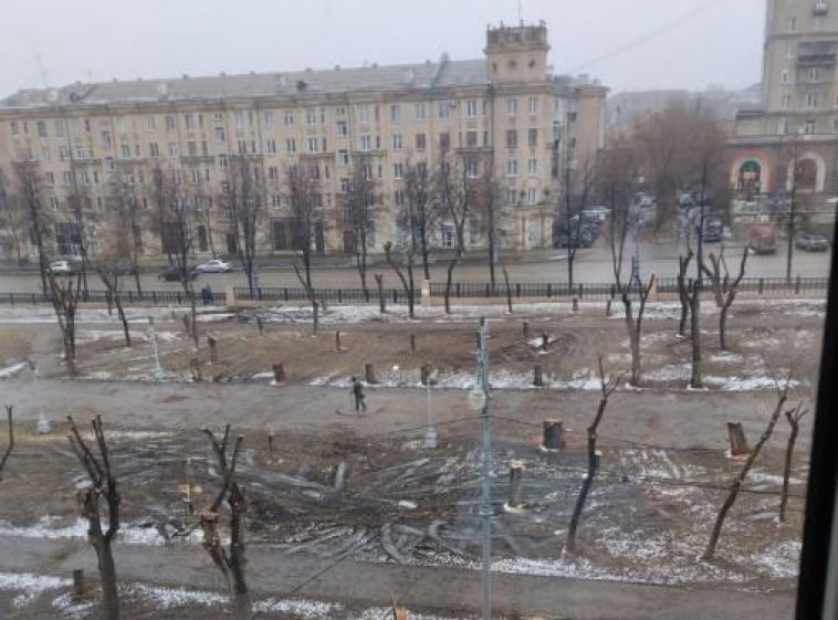 «Сквер останется зеленым»: в мэрии Магнитогорска ответили на возмущение горожан