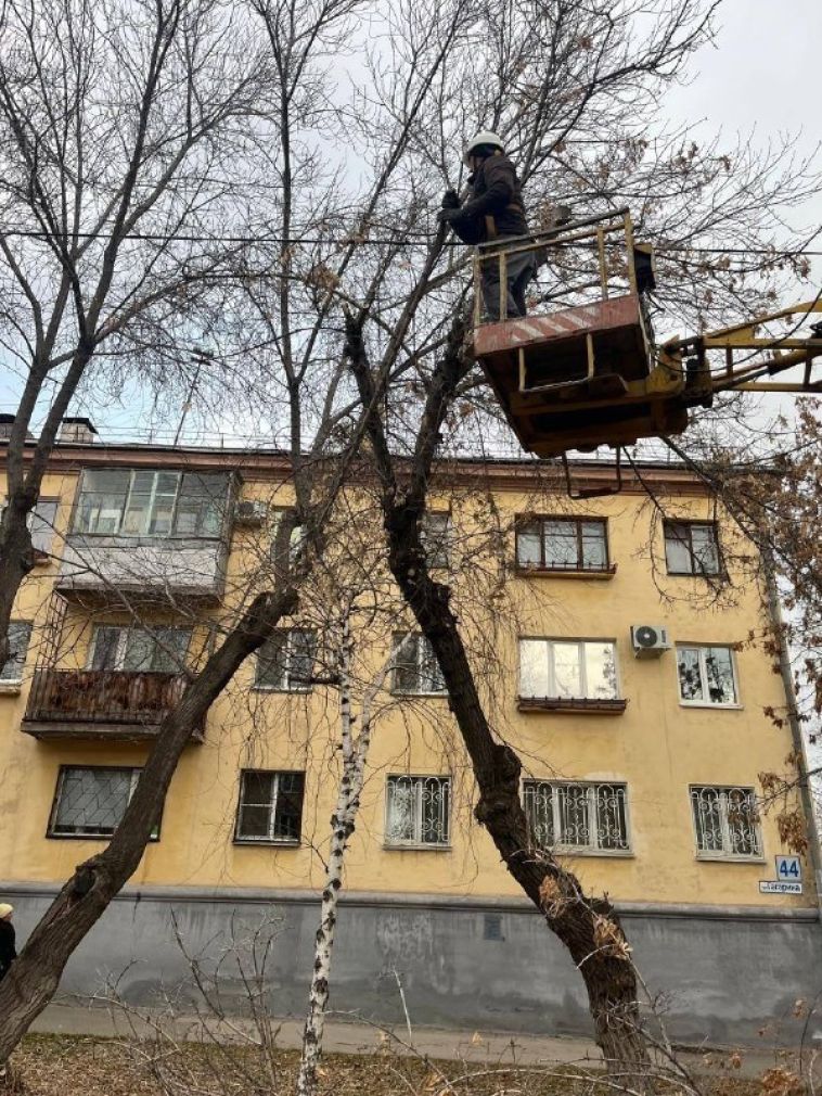 В Магнитогорске продолжается снос аварийных деревьев