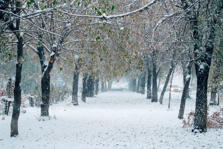 Магнитогорцам напомнили о необходимости открывать окна зимой