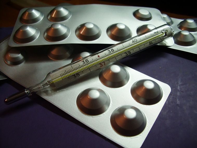 Осторожно: вирусы атакуют