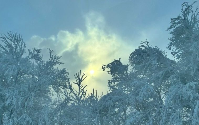 В Магнитогорске разместят временный пункт обогрева