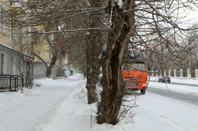 В Магнитогорске продолжают работы по сносу аварийных деревьев