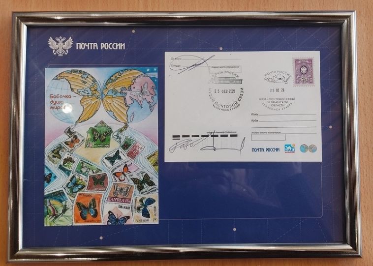 Две тысячи бабочек со всех континентов: в музее Почты открылась весенняя выставка