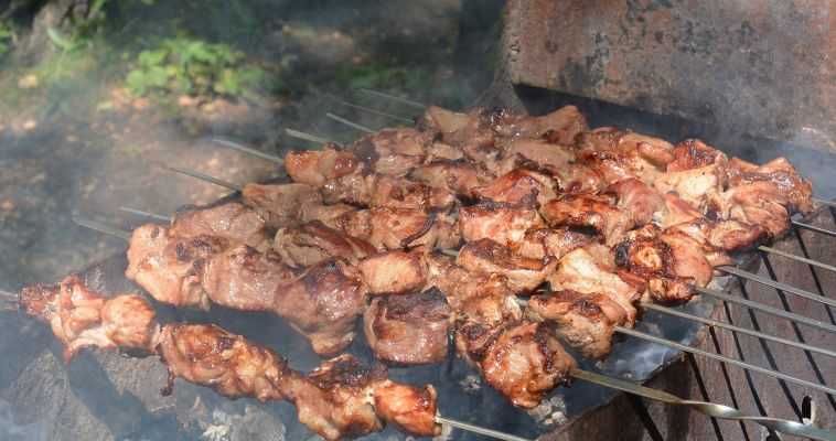 Магнитогорцам запретили жарить шашлыки в лесах