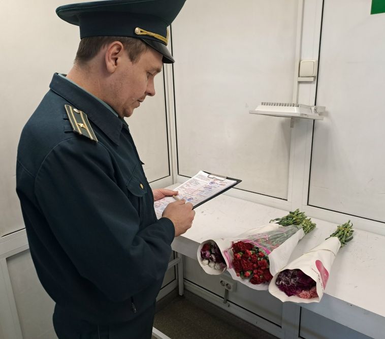 К майским праздникам таможенники Урала оформили более 56 тонн гвоздик