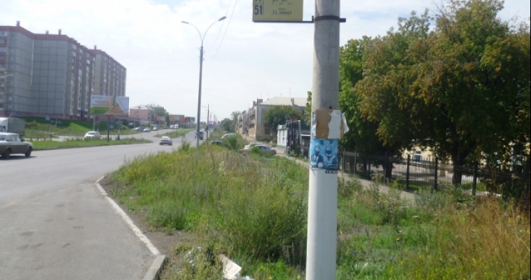Жительница Магнитогорска повредила руку, пробираясь по бурьяну с автобусной остановки