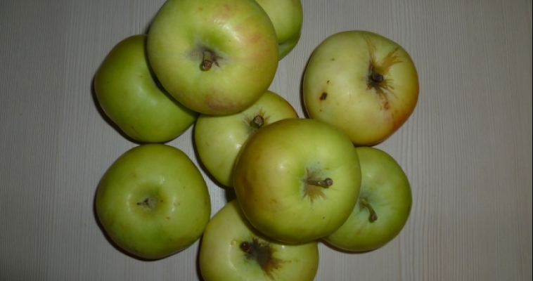 Учёные развеяли миф о яблоках
