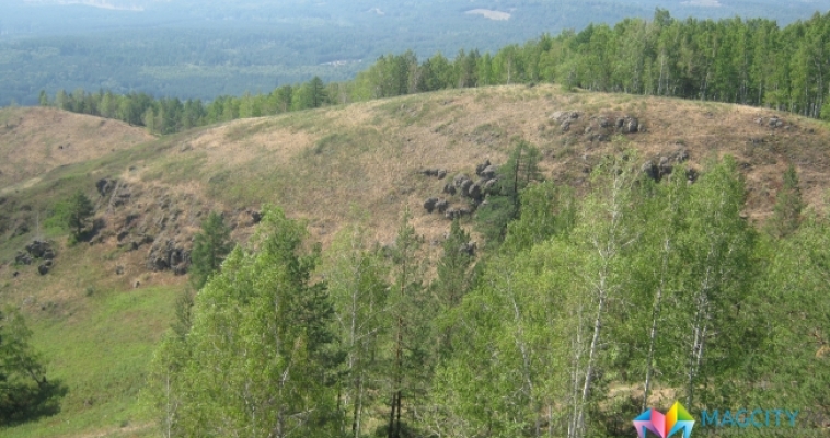 Магнитогорские активисты предлагают провести субботник … в лесу
