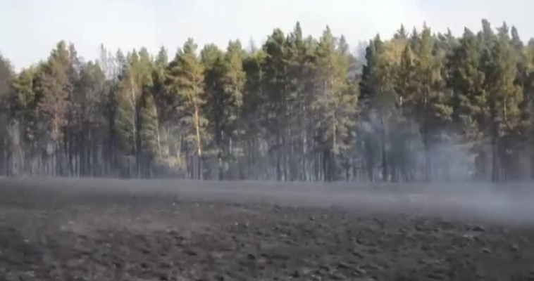 Более 100 га леса и степи сгорело в Кизильском районе