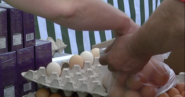 Четыре яйца в неделю могут спасти от диабета