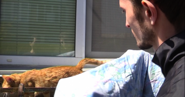 Жильцы дома спасли рыжего кота, который без еды и воды просидел трое суток на окне третьего этажа