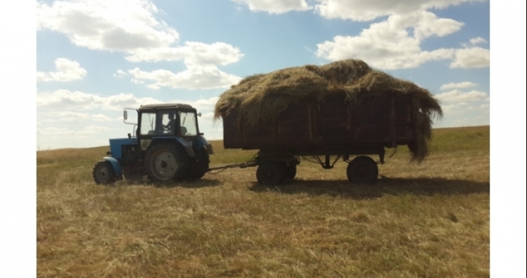 Аграрии Южного Урала заготовили более 120 тысяч тонн кормов