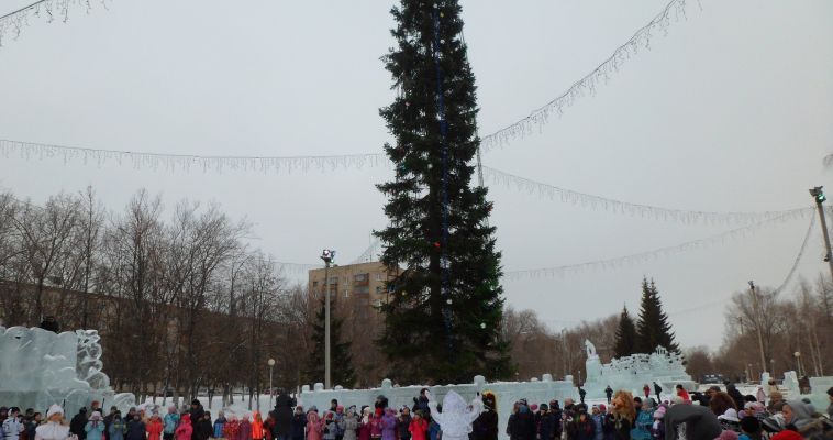 Одаренные школьники Магнитки в этом году не попадут на Кремлевскую елку