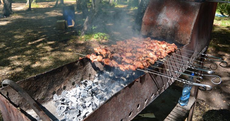 Хотите шашлык-машлык? На госзакупках уже готовятся к шашлычному сезону