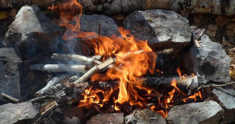 За год от пожаров в регионе погибло 882 га леса