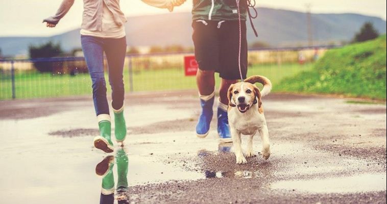 Весной уральцы переходят на «мобильный антистресс»