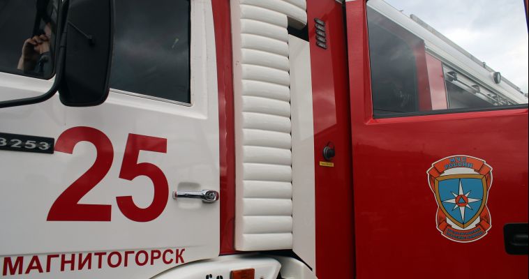 Возле поселка Звездный горела лесопосадка