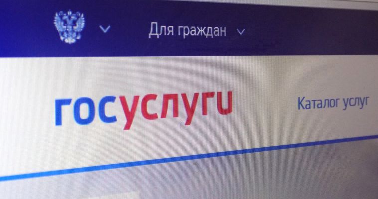 Результаты ГИА появились в сервисах «Госуслуг»