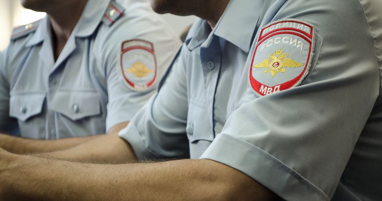 Полиция: цель - сбить волну преступности в общественных местах