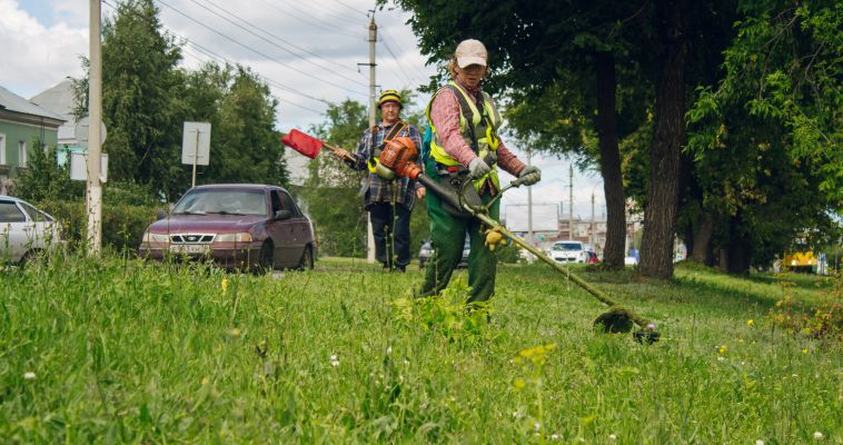 «ДСУ» поставило косьбу в приоритет