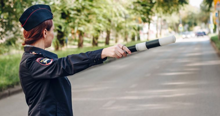 Пешеходные переходы под контролем мам и пап